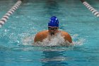 Swimming vs CGA  Wheaton College Swimming & Diving vs Coast Guard Academy. - Photo By: KEITH NORDSTROM : Wheaton, Swimming, diving